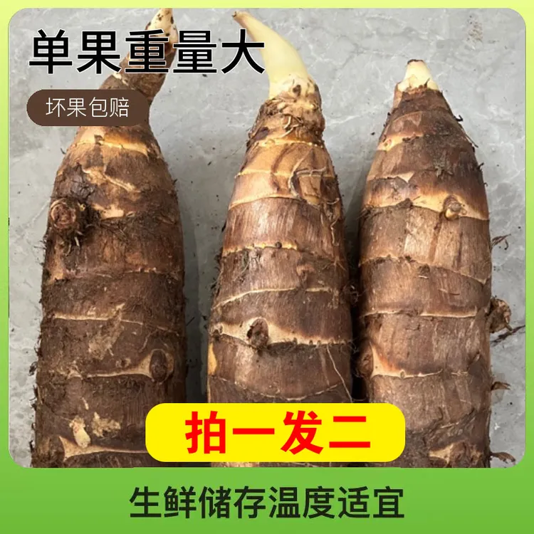 精品大果单果900g以上正宗高钙香芋软糯香甜坏果包赔