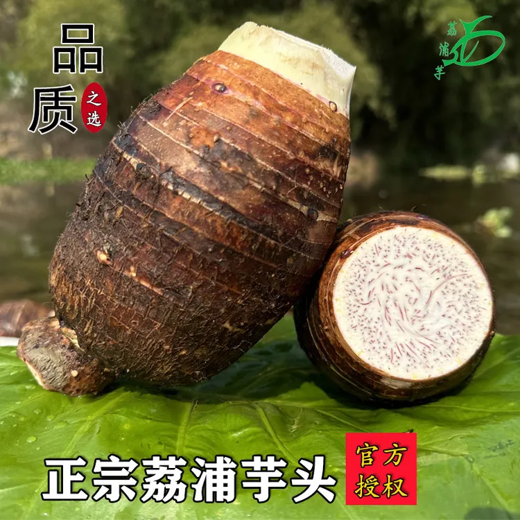 正宗荔浦芋头原产地发货甄选3斤5斤9斤收到去皮切块冰箱冷冻保存