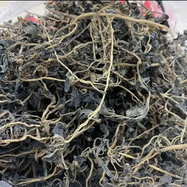 新货野生食用马齿苋水烫农家日晒脱水蔬菜马蜂菜邳州特产干货