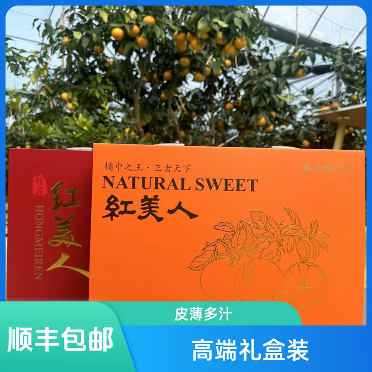 象山红美人柑橘礼盒新鲜直达高端精品