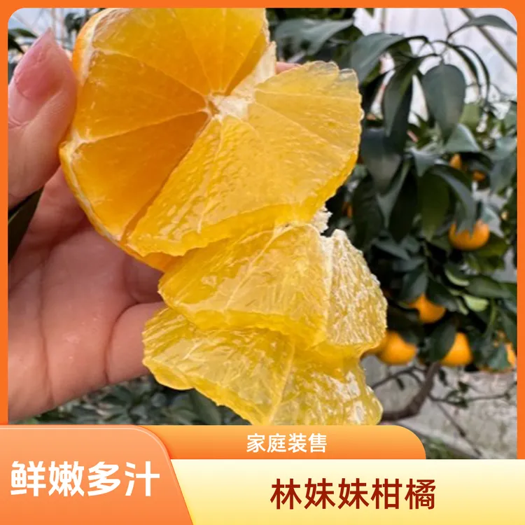 【林妹妹果园】正宗象山红美人柑橘（家庭装中果）产地直销橘子浙江