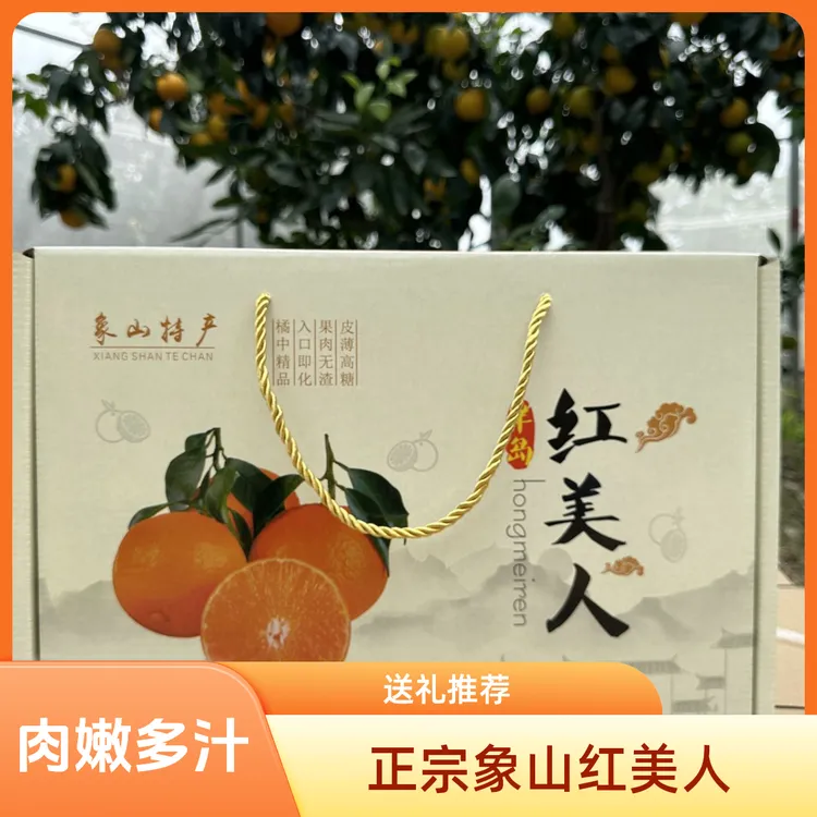 象山红美人柑橘精品礼盒净重五斤产地直销现摘现发