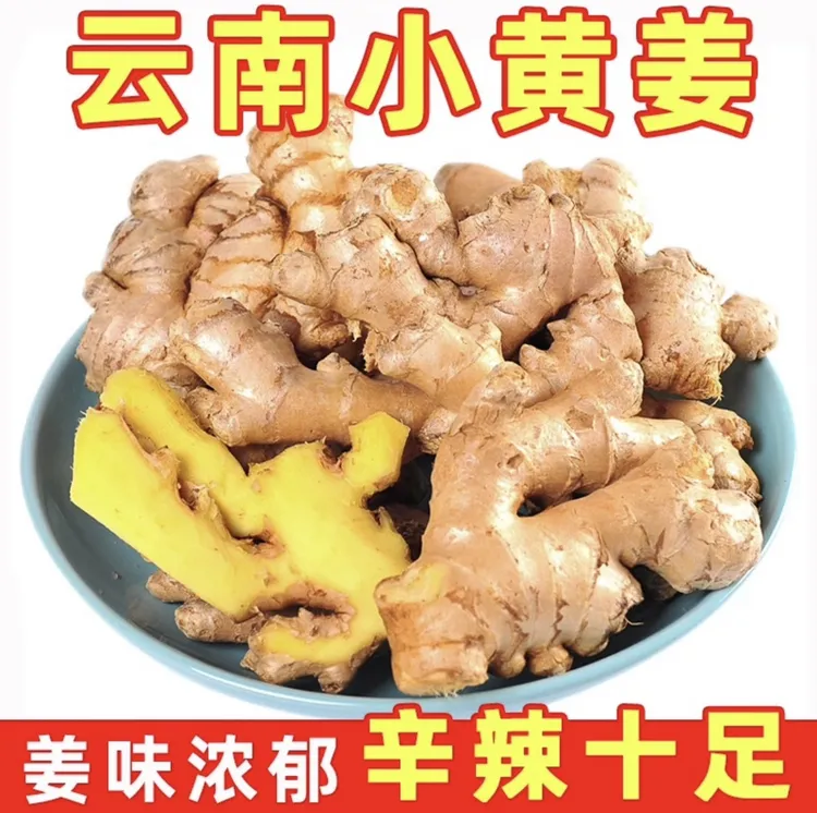 【生姜老姜】云南小黄姜农家种植现挖老姜土姜1/3/5/9斤辛辣姜美味