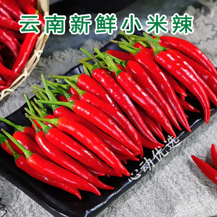 云南特辣小米辣巨辣朝天椒小米椒红辣椒新鲜采摘指天椒做泡椒剁椒
