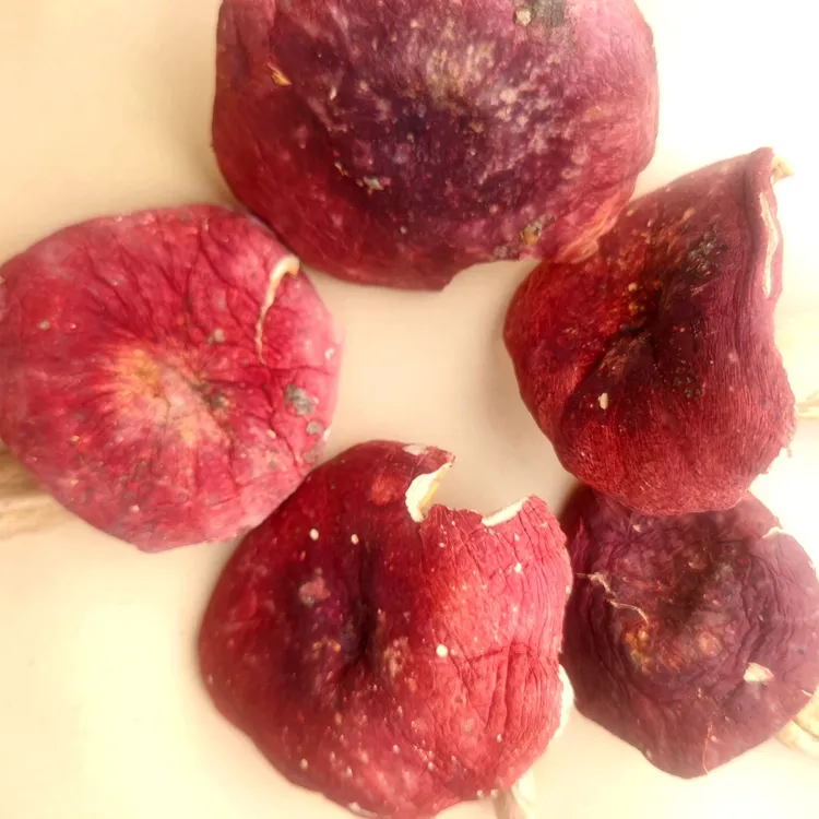 无品牌河南高山野生蘑菇250g/300g袋装干货