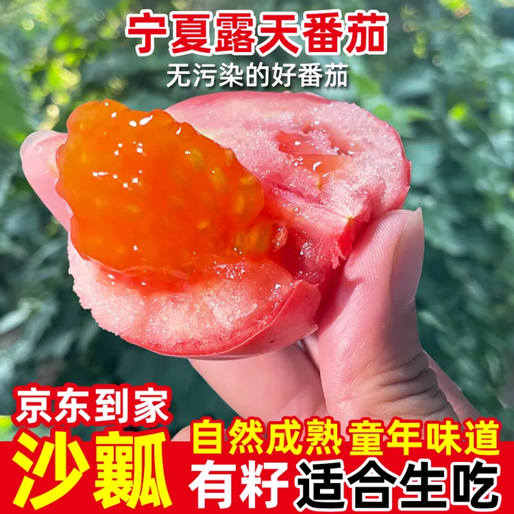 【顺丰到家】宁夏露天西红柿新鲜自然熟老品种生吃水果番茄沙瓤有籽