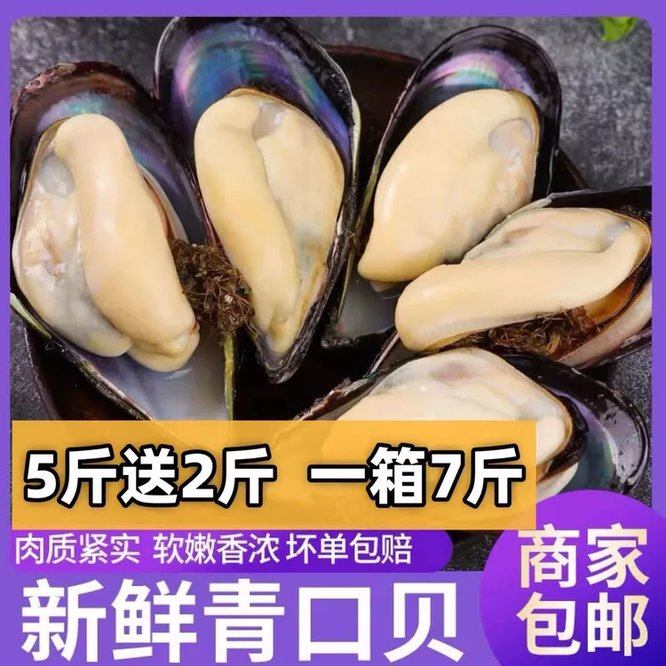 顺丰发货 大号青口贝(一斤12只左右)淡菜 非小海虹 4斤7斤