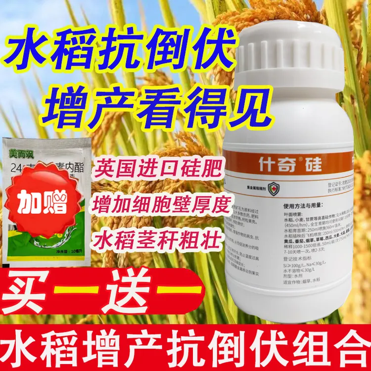 什奇硅硅肥水稻玉米大豆抗倒伏增产瓜果蔬菜防裂果着色早耐贮存