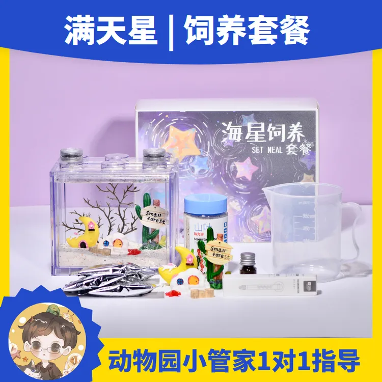 满天星饲养套餐海洋宠物林氏海星桌面鱼缸宿舍造景儿童生日礼物