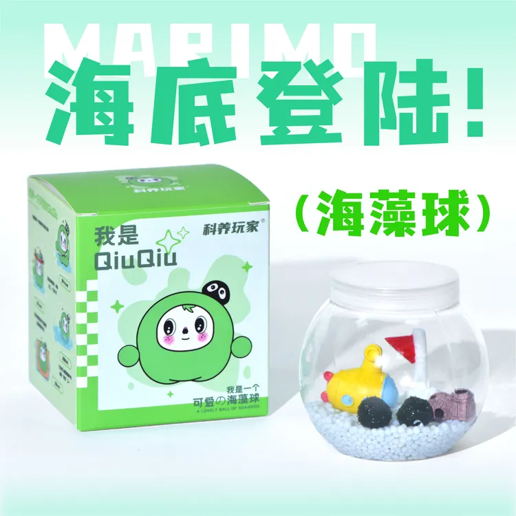 【治愈系宠物】海藻球生态瓶桌面微景观迷你植物创意造景生日礼物