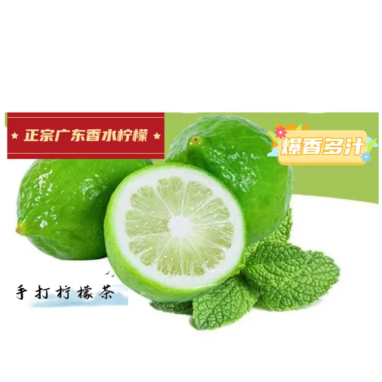 【爆香型】奶茶店专用正宗广东香水柠檬果园原产地发货无籽新鲜批发