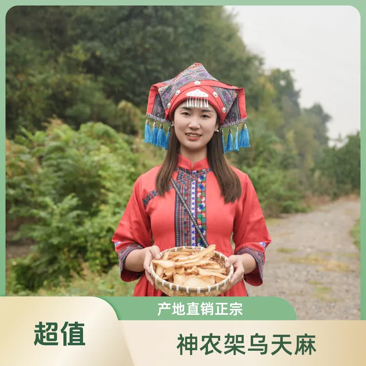 【产地直销】神农架产正宗乌天麻自然生长非昭通小草坝天麻S-P