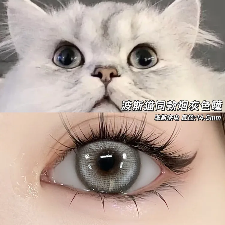 OVOLOOK慵懒感猫咪瞳波斯来电美瞳半年抛大直径隐形眼水润混血款