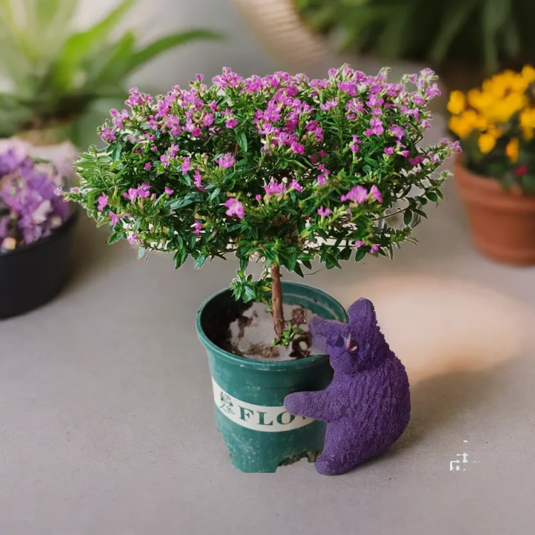 满天星棒棒糖造型盆栽盆景四季开花庭院阳台常绿好养花卉绿植独杆