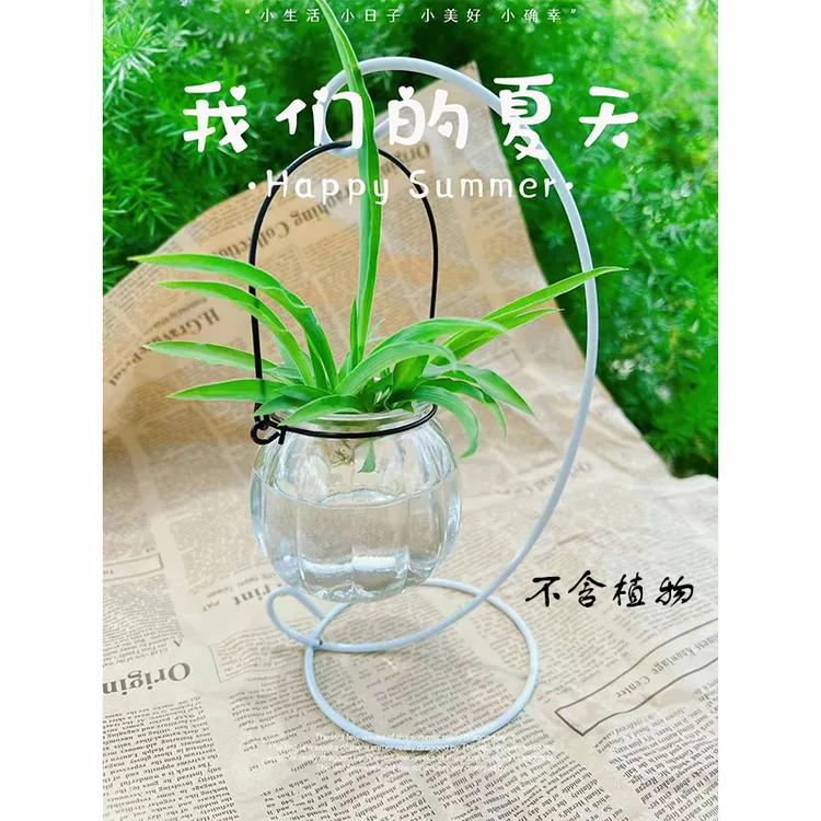 南瓜简约小花瓶玻璃花瓶铁艺支架居家生活时尚插花实用田园风格白