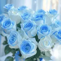 网红玫瑰组合：收到花第一时间醒花，联系客服教学视频。