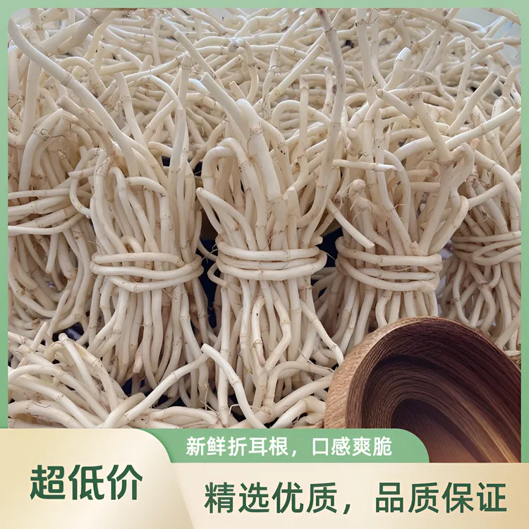折耳根嫩根鱼腥草新鲜蔬菜凉拌下饭菜现挖即食