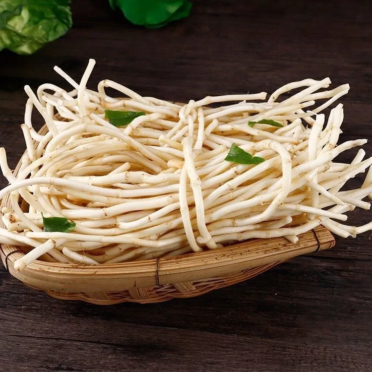 新鲜折耳根嫩根鱼腥草凉拌蔬菜产地直发