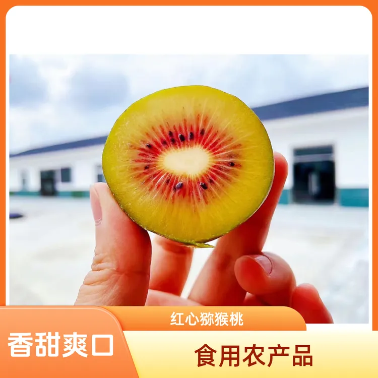 安州区黄土镇乐兴红心猕猴桃，整箱包邮