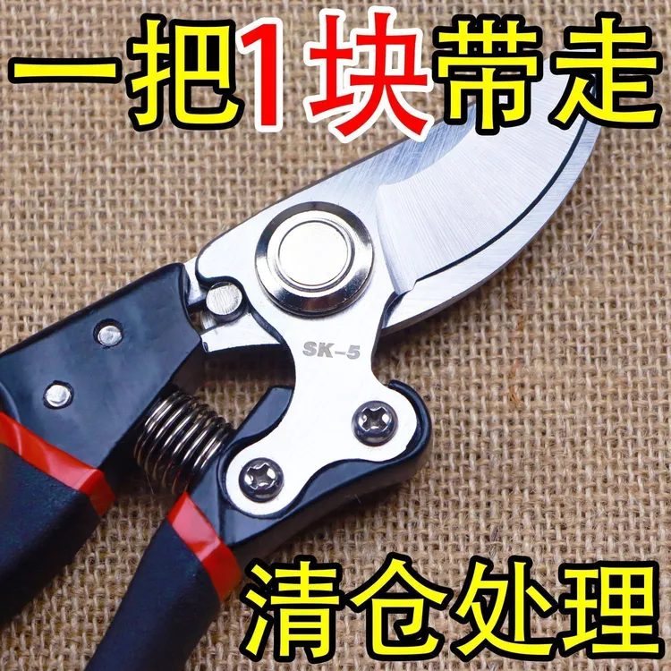 海外爆款钢大号省力修枝剪刀园艺修花木果树嫁接园林剪农用工具