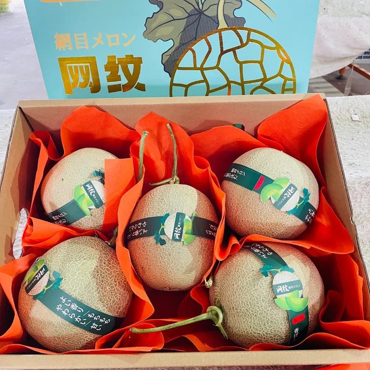 【精选礼盒装京东包邮】海南网纹瓜冰淇淋网纹蜜瓜玫蜜珑瓜静冈甜瓜