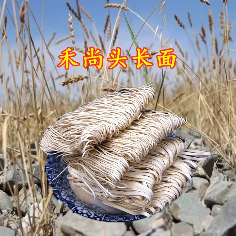 【禾尚头长寿面】皋兰长面长寿面把子面筋道3kg/箱