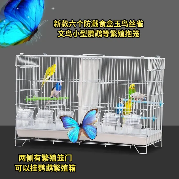 新款六个防溅食盒玉鸟丝雀文鸟小型鹦鹉等繁殖抱笼