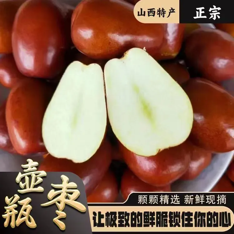 【果园直发】山西太谷壶瓶枣鲜枣现摘现发 脆枣产地直发1斤/3斤/5斤
