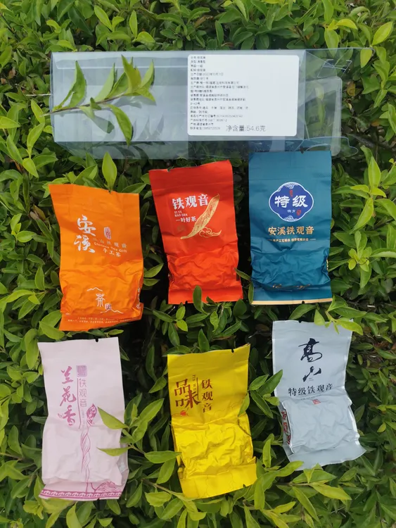 【6泡品鉴装铁观音】新人粉丝福利品  正宗安溪铁观音清香型 兰花香