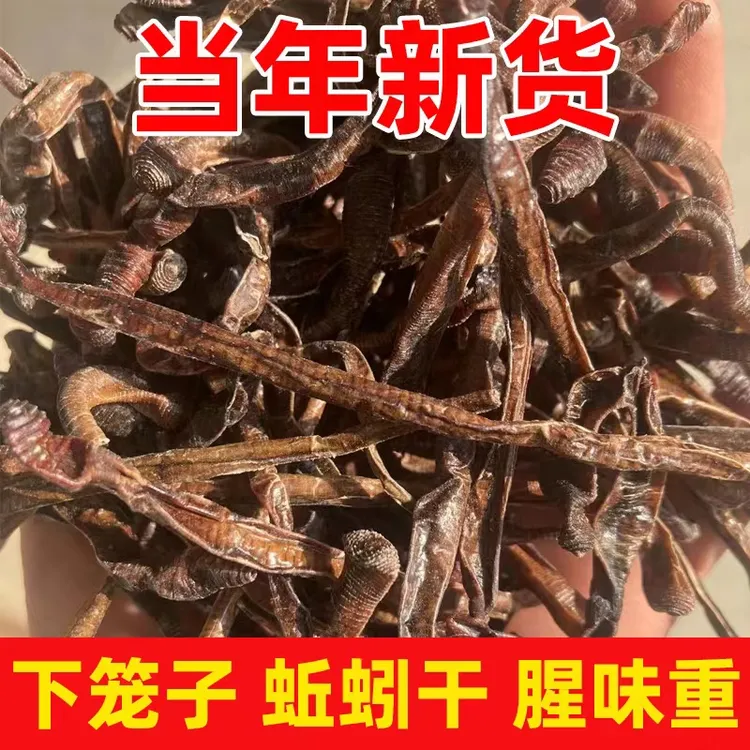 整条青臭黑干蚯蚓下笼子抓黄鳝专用蚯蚓干诱饵未破肚味道大地龙干