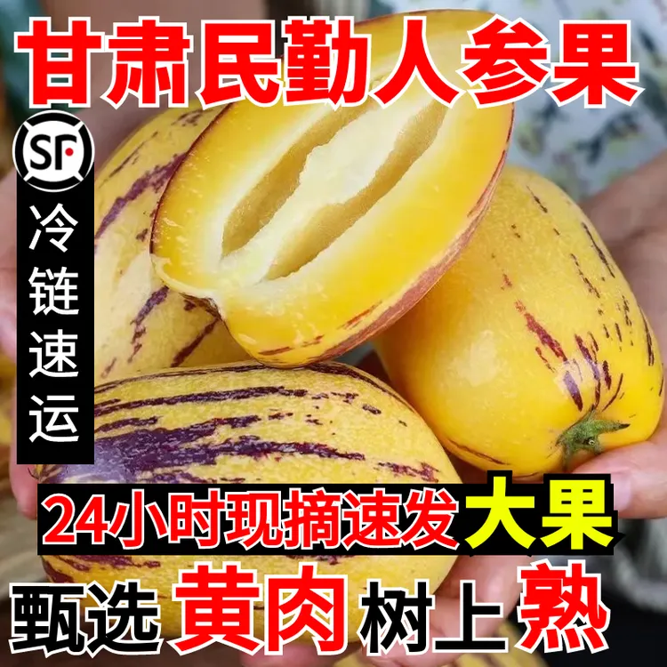 【黄肉大果】甘肃民勤人参果年终大促
