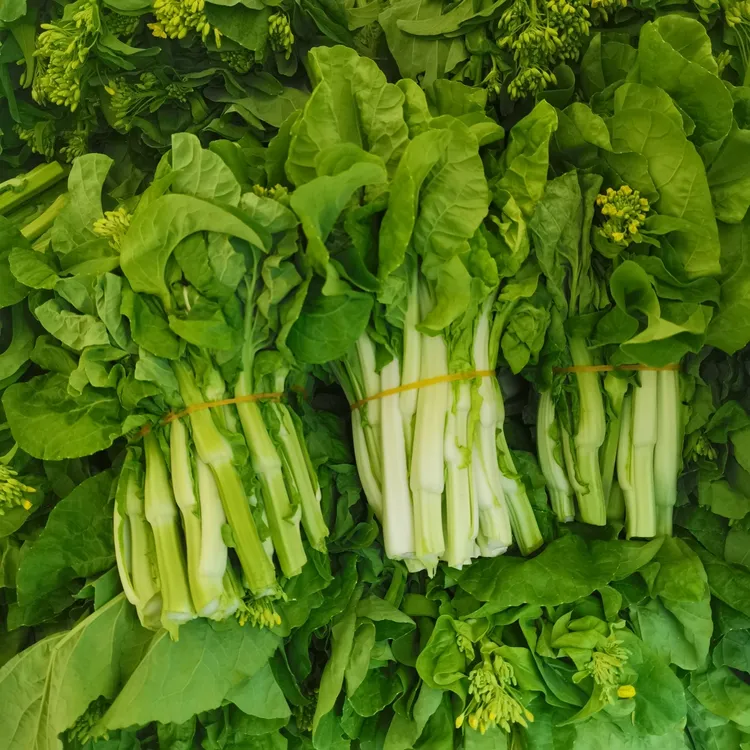 贵州高山白菜苔青菜新鲜农家蔬菜地道特产现采现摘白菜心农家自种