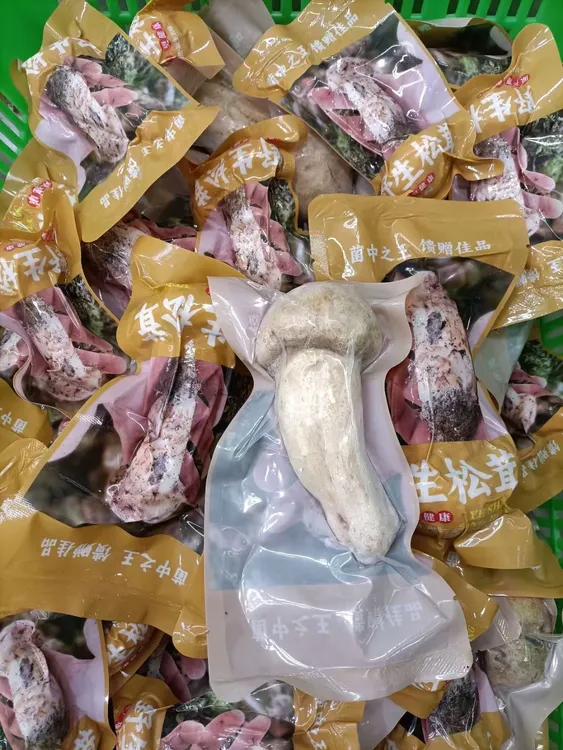 冻松茸一公斤装每颗松茸都是独立包装净重1000克顺丰空运包邮