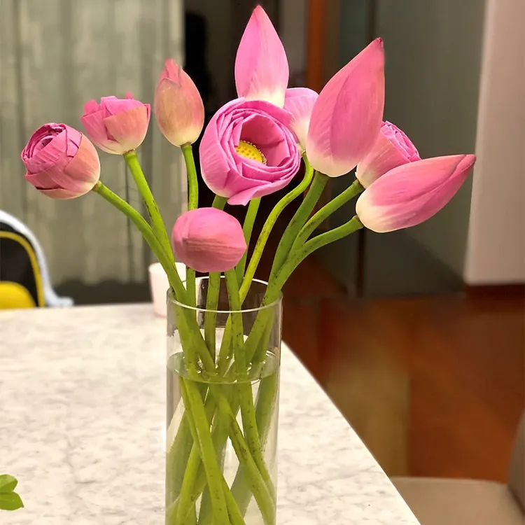 重瓣真荷花鲜花新鲜莲蓬水生花卉插花束花苞莲花观赏荷叶顺丰包邮