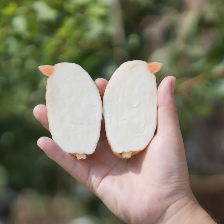 【陕西天麻】产地直发新鲜天麻秦岭深山种植新鲜营养丰富新鲜可炖汤