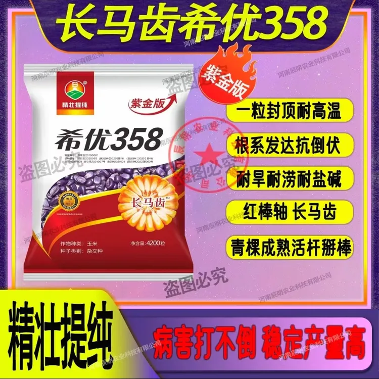 精壮提纯 希优358长马齿红轴大棒抗病抗倒产量高