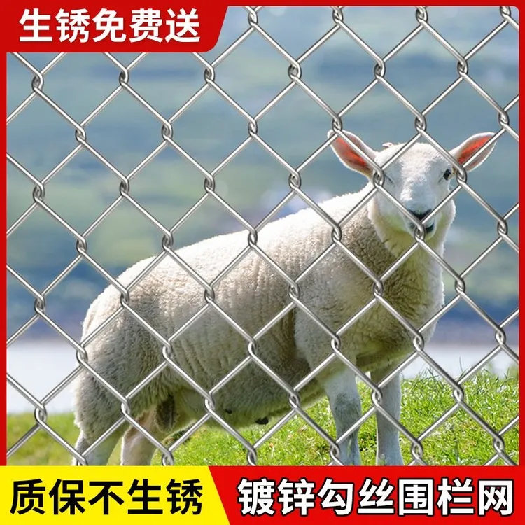 热镀锌钢丝铁网网格狗加粗加厚铁丝网圈地养殖牛羊果园养殖围栏网