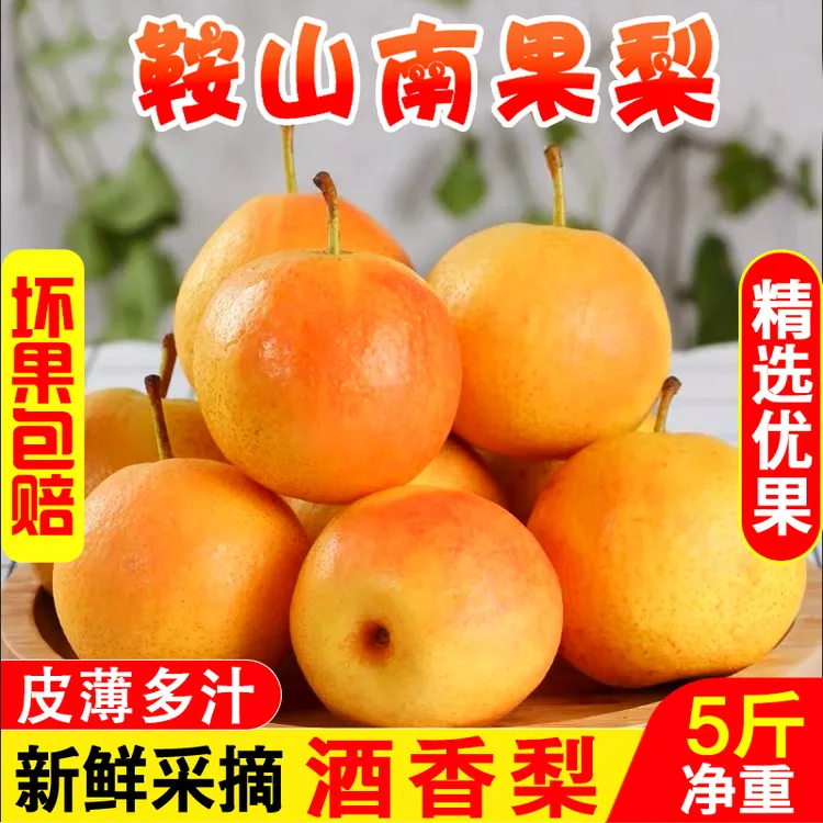 南果梨 辽宁鞍山南国梨酒香梨软梨酸甜多汁5斤包邮小香水梨小酸梨