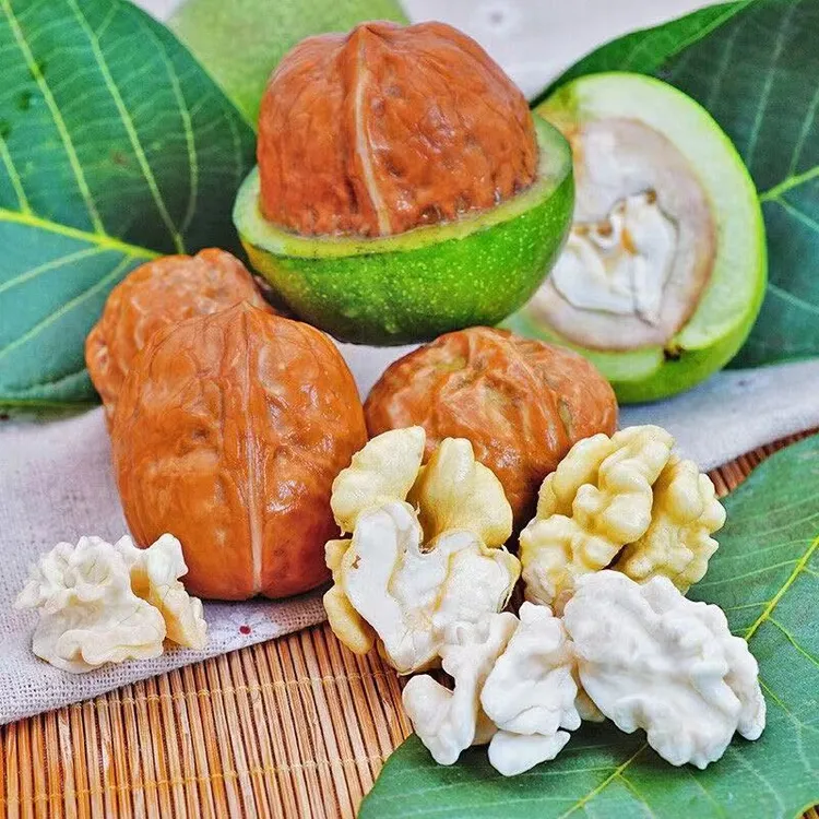 陕西鲜核桃新鲜去青皮山核桃3/5/8斤整箱包邮新鲜水果应季食品