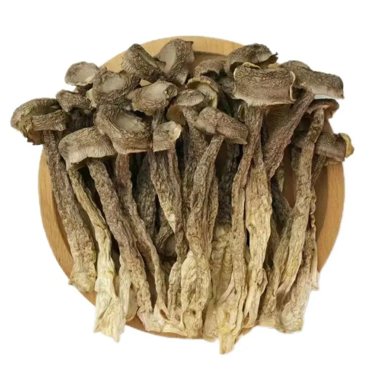【鹿茸菇】干货 食用肉质爽脆煲汤 营养菌美味鹿茸菇干货菇汤料500g