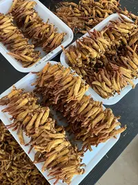 高丽参 原枝高丽参 小枝高丽参 