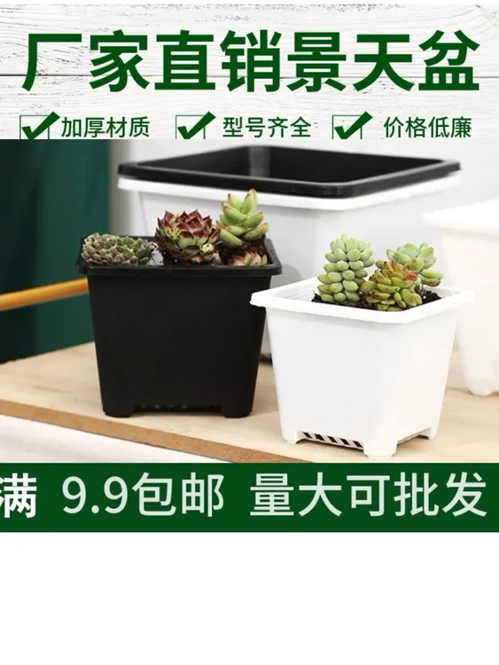 多肉植物播种盆方形盆小黑色白色加厚育苗盆绿植花卉种植塑料盆