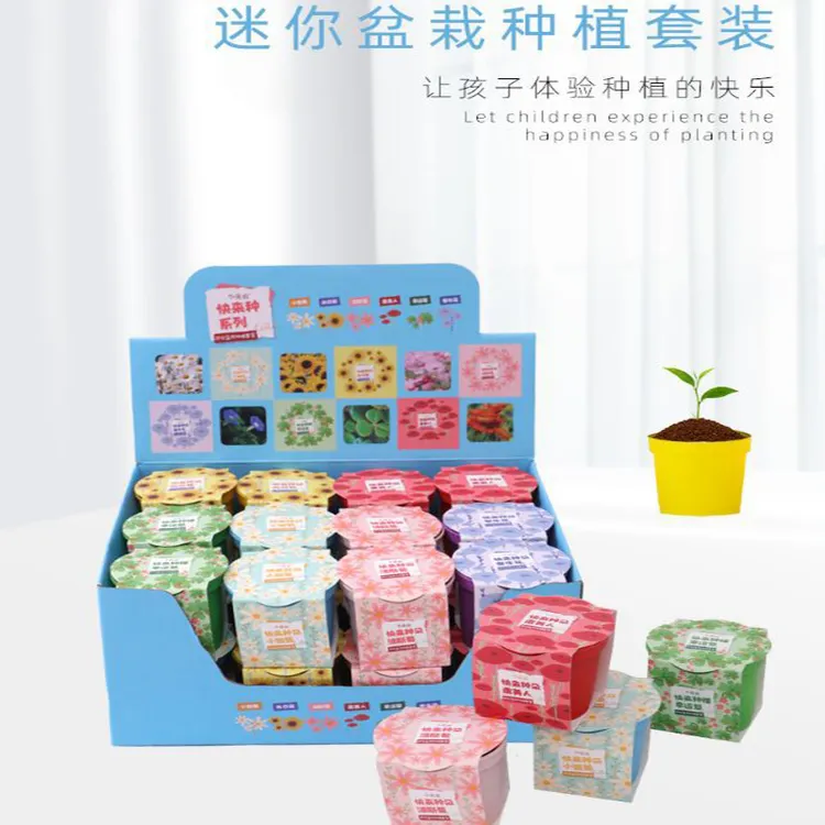 小花农快来种植盆栽绿植物办公室内摆件儿童懒人手工趣味花卉水果