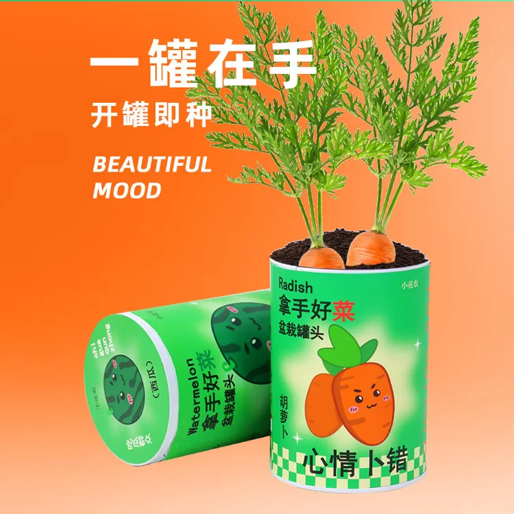 小花农拿手好菜懒人室内种植杯绿植盆栽办公室学生桌面摆件幼儿园