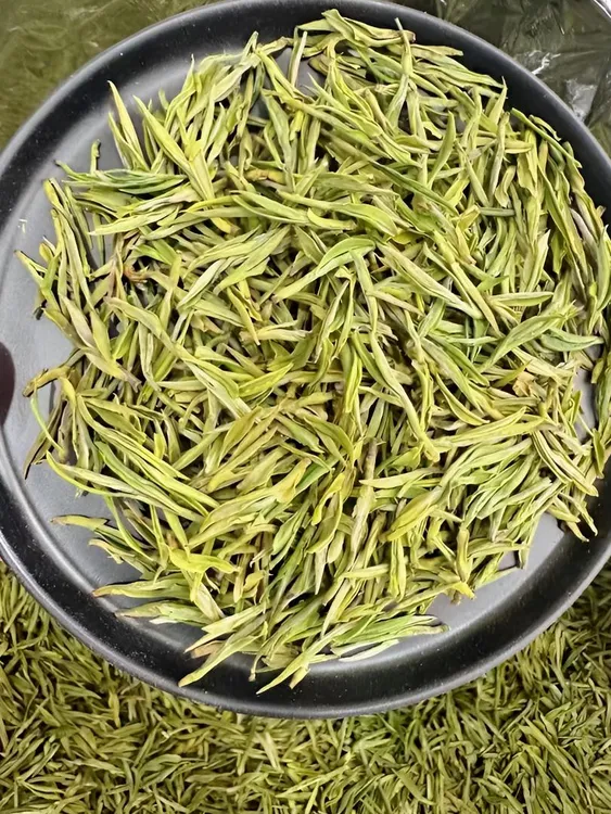 2025新款明前茶    白茶