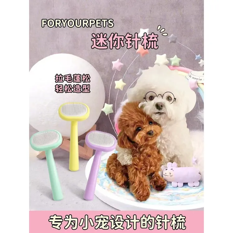 泰迪比熊宠物梳子马卡龙三色猫咪梳子按摩梳细针去浮毛梳理橡胶