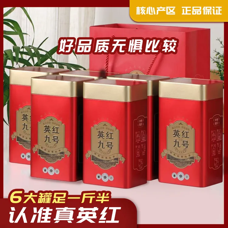 正宗英红九号英德红茶新茶一芽两叶精选品质冲泡茶叶 仲送试喝装