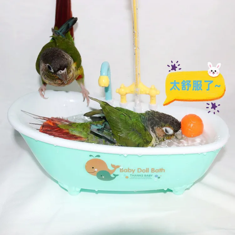 鹦鹉洗澡盆鸟用洗澡洗澡盒玄凤虎皮专用电动洗澡玩具沐浴用品