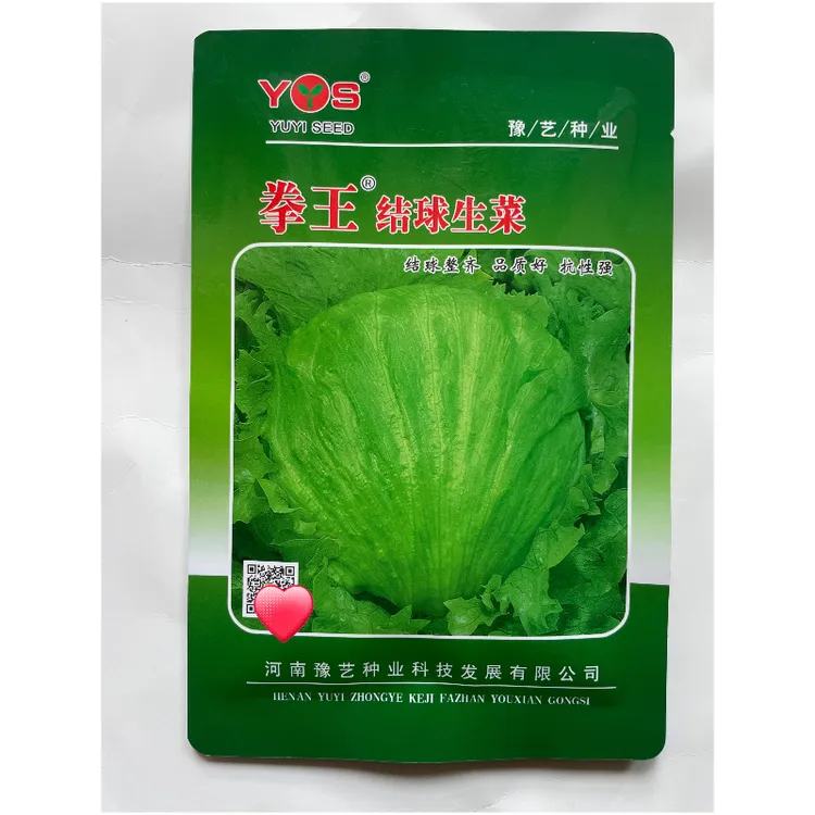 拳王结球生菜种子圆球700克耐热抗抽薹肯德基专用沙拉蔬菜种子