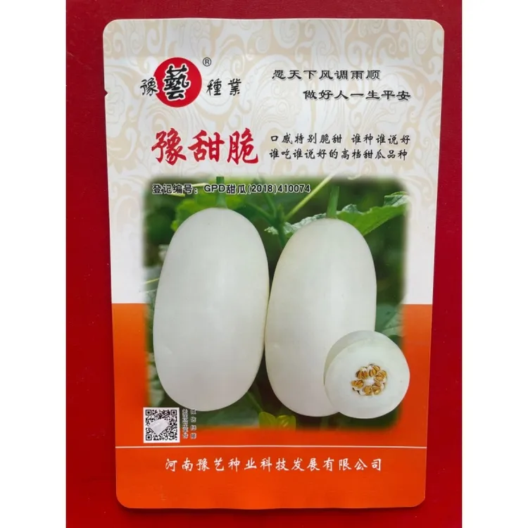 豫甜脆 白皮白肉甜瓜种子超甜薄厚皮香瓜早熟高产春露地水果200粒